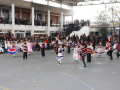 MG_6377
